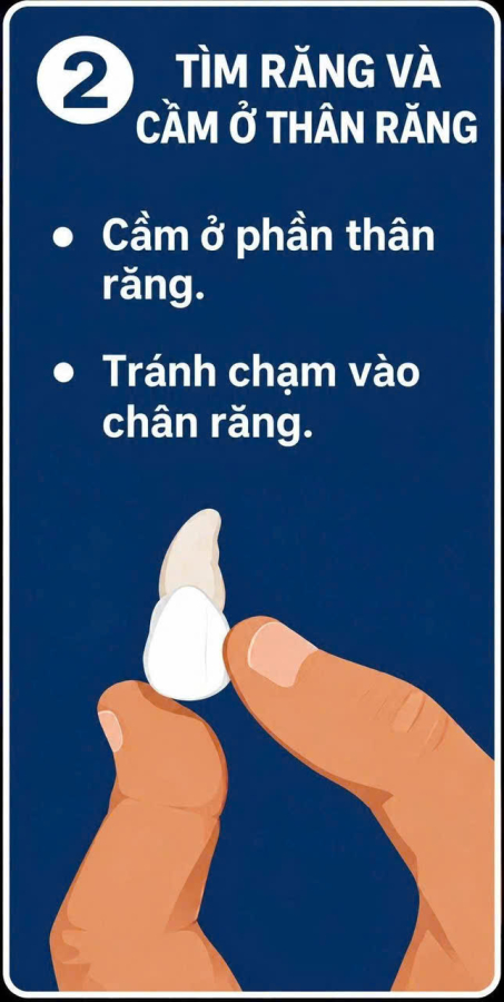 Khi gặp trường hợp chấn thương làm răng bị rơi ra khỏi miệng thì chúng ta phải xử trí cấp cứu như thế nào?